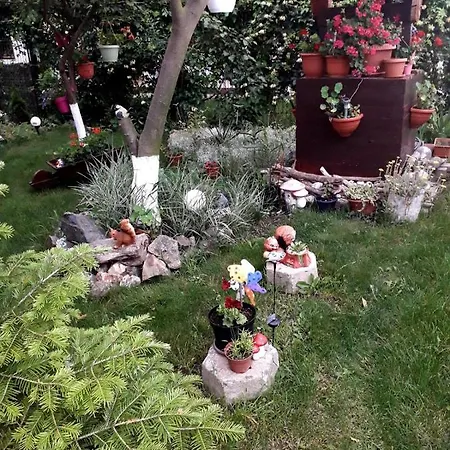 Casa de hóspedes Casa Benny 3*